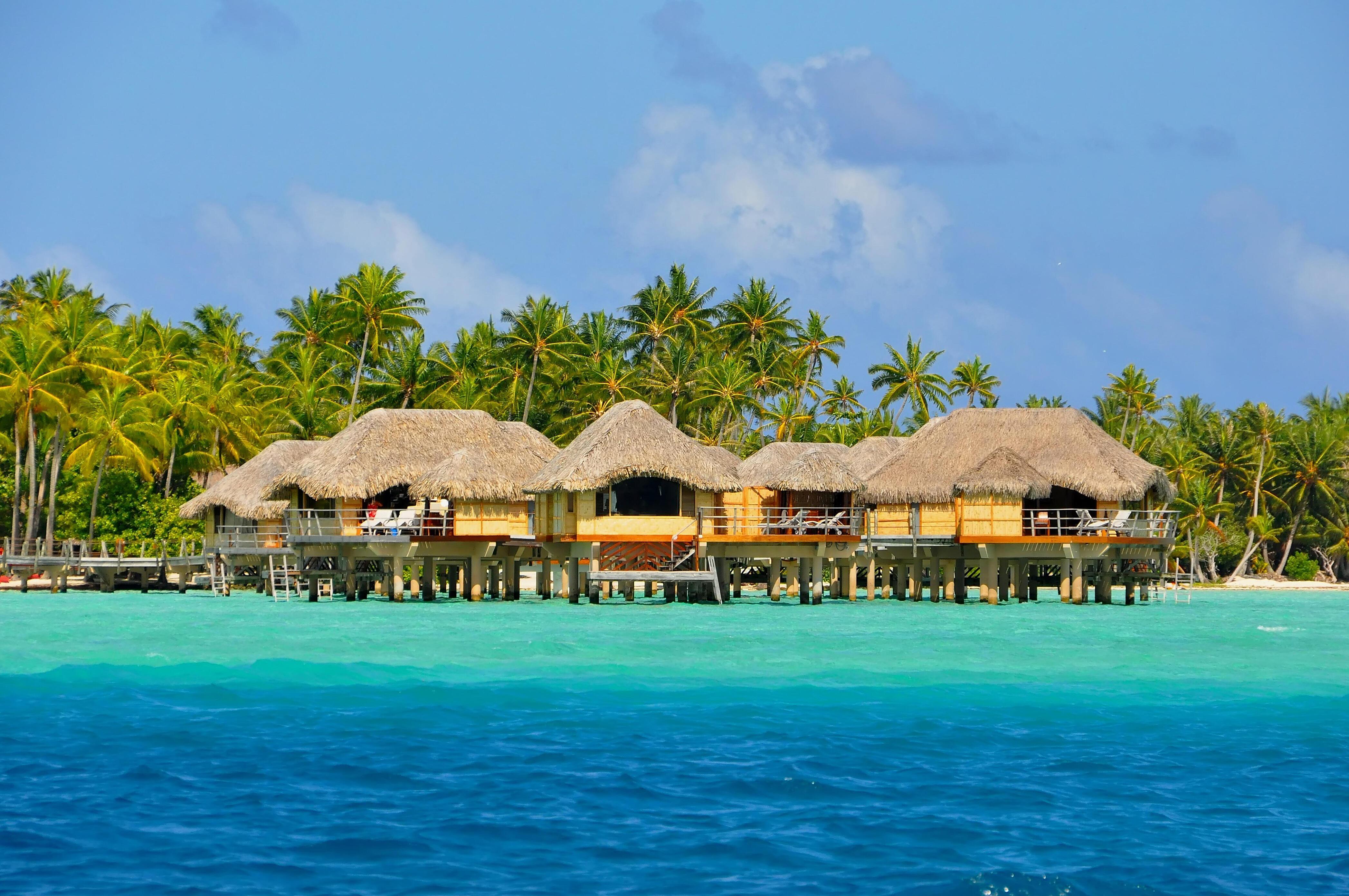 THE 25 BEST Cruises to Raiatea 2024 (with Prices) - Raiatea Cruise ...