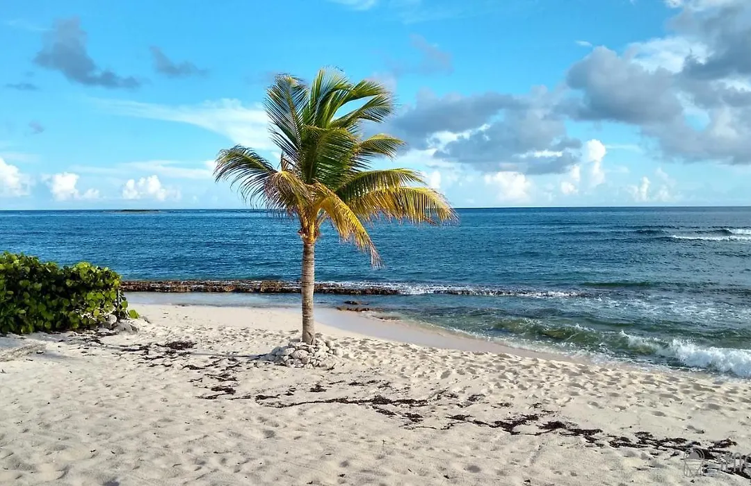 Seacada- Beachfront - Pool - Panoramic Sunsets-1